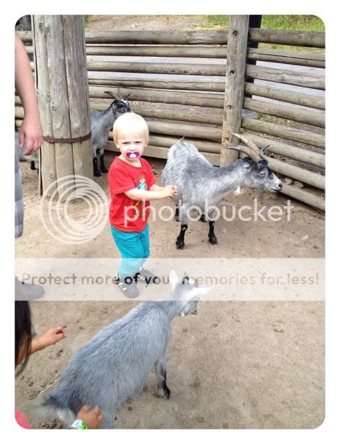 Photobucket Pictures, Images and Photos