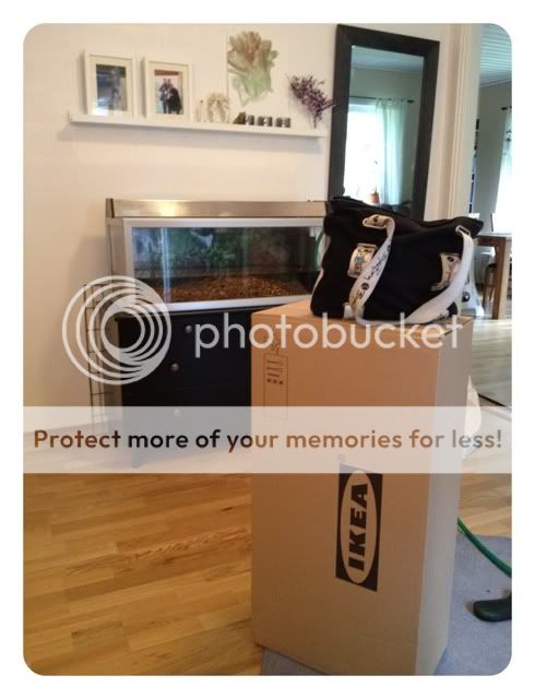 Photobucket Pictures, Images and Photos