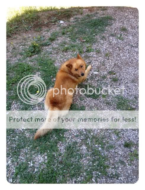 Photobucket Pictures, Images and Photos