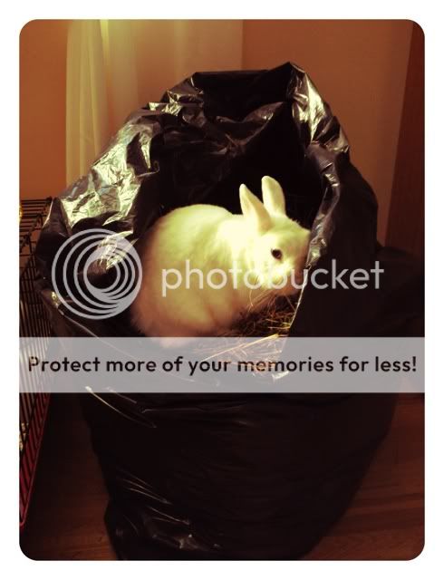 Photobucket Pictures, Images and Photos