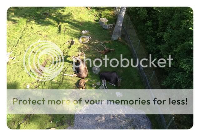Photobucket Pictures, Images and Photos