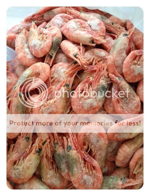 Photobucket Pictures, Images and Photos