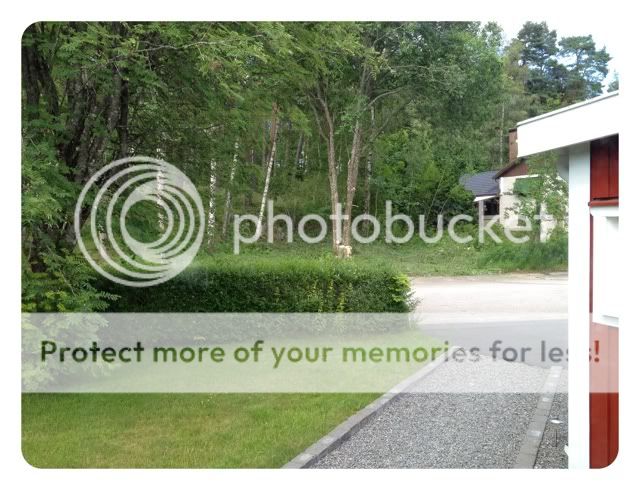 Photobucket Pictures, Images and Photos