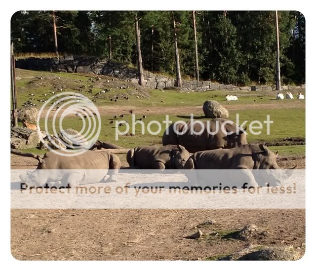 Photobucket Pictures, Images and Photos