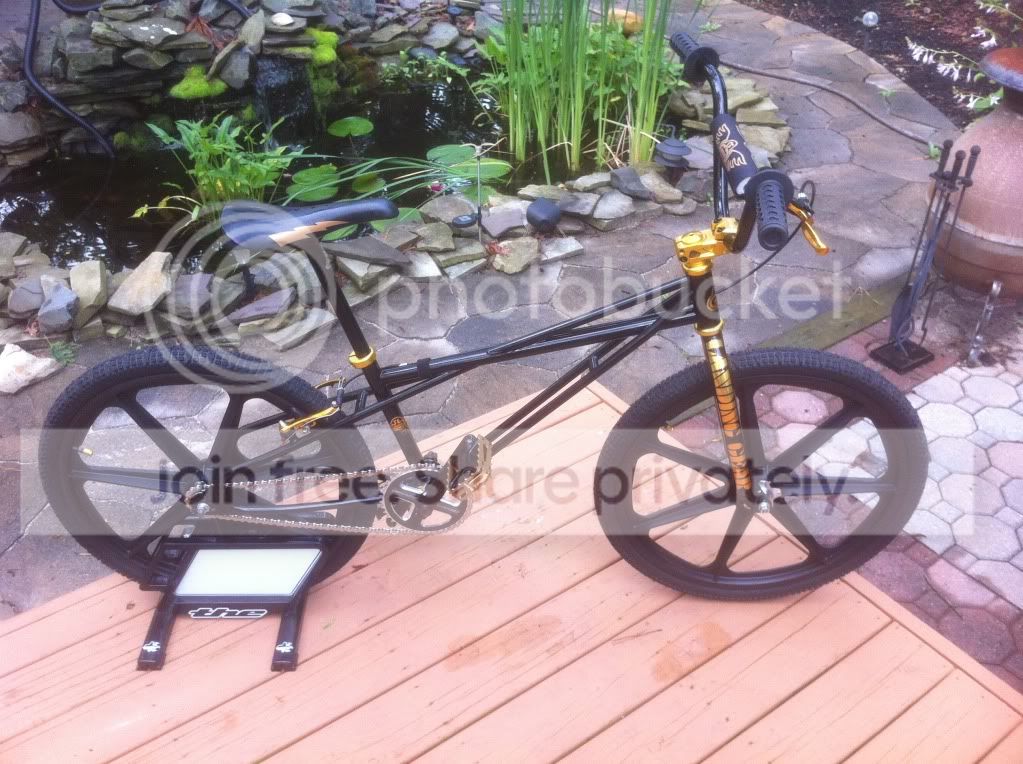 black and gold bmx bike