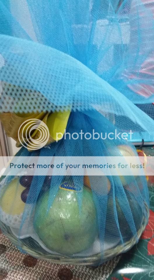 photo 16507846_10211497497249184_7311304971712455608_n_zpsqshcxtt4.jpg