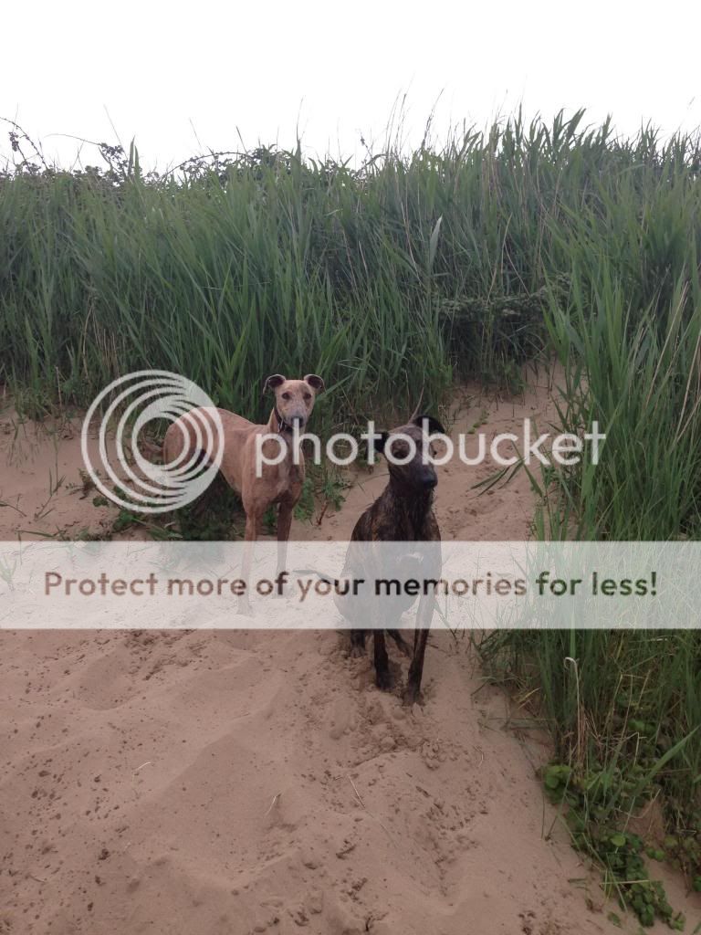 photo.jpg?t=1371421427