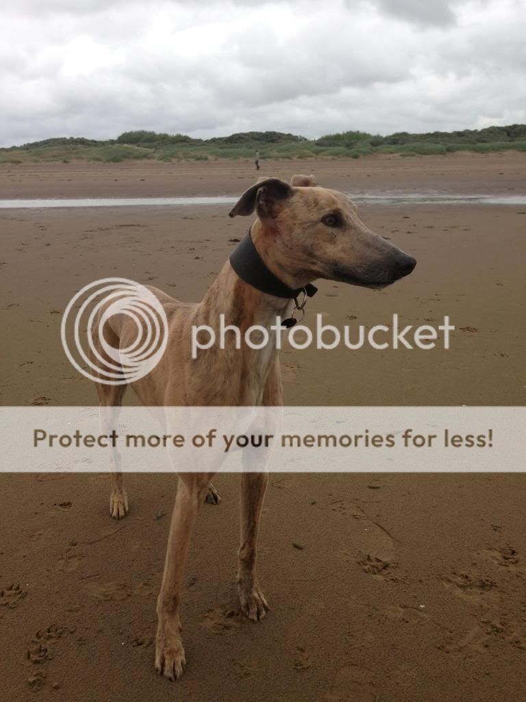 photo4.jpg?t=1371421197