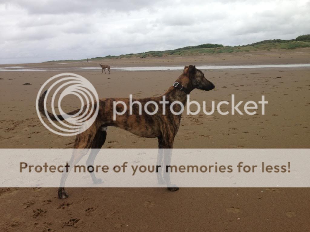 photo5.jpg?t=1371421116