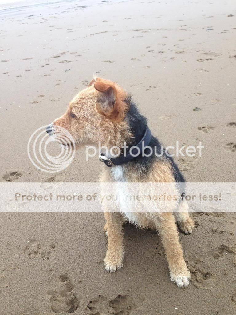 photo6.jpg?t=1371421029