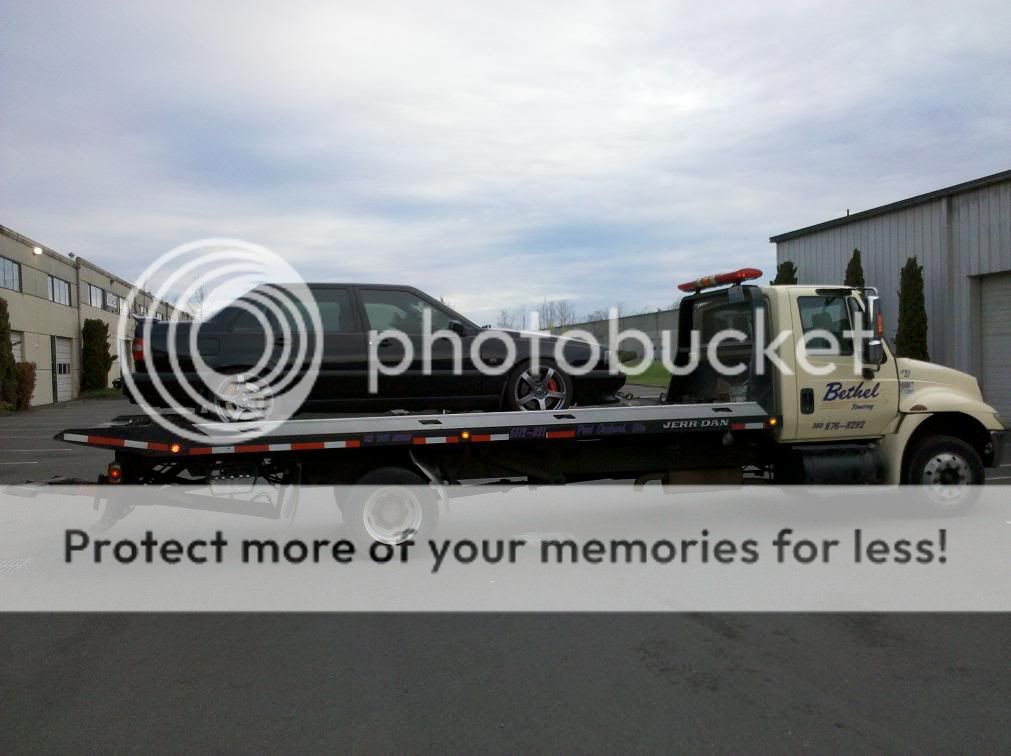 Posted Image