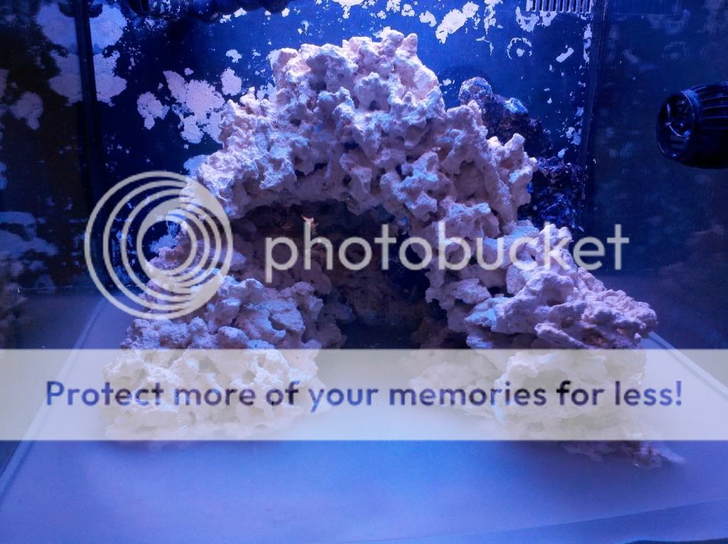 Posted Image