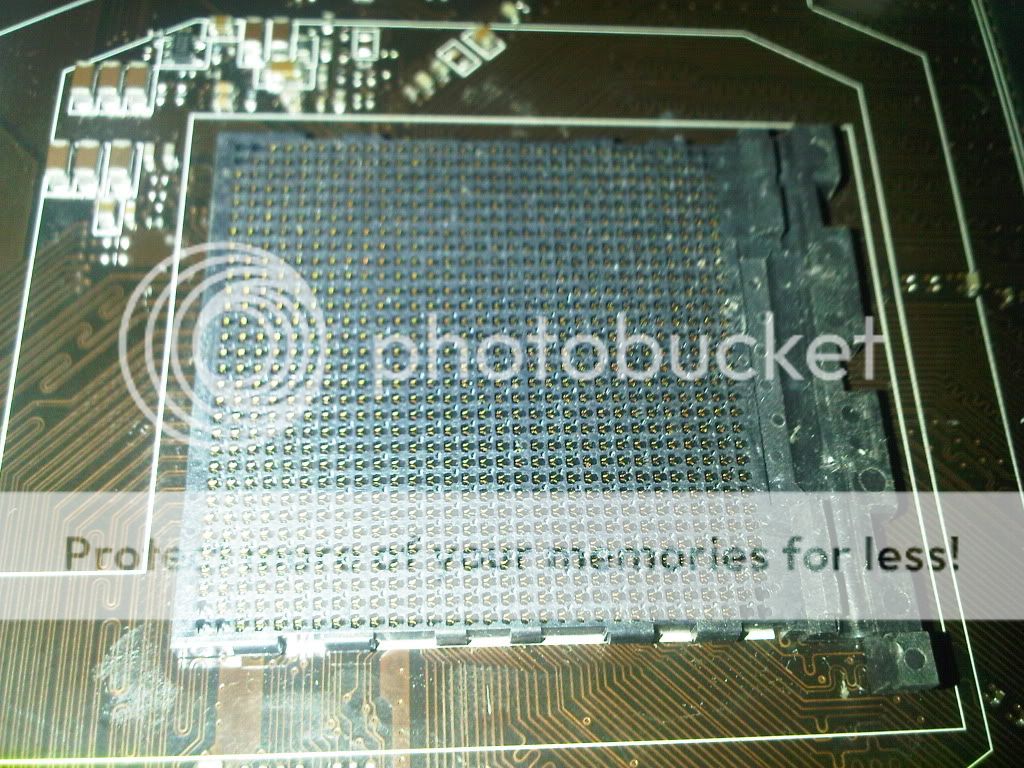 IMG-20120602-00155.jpg