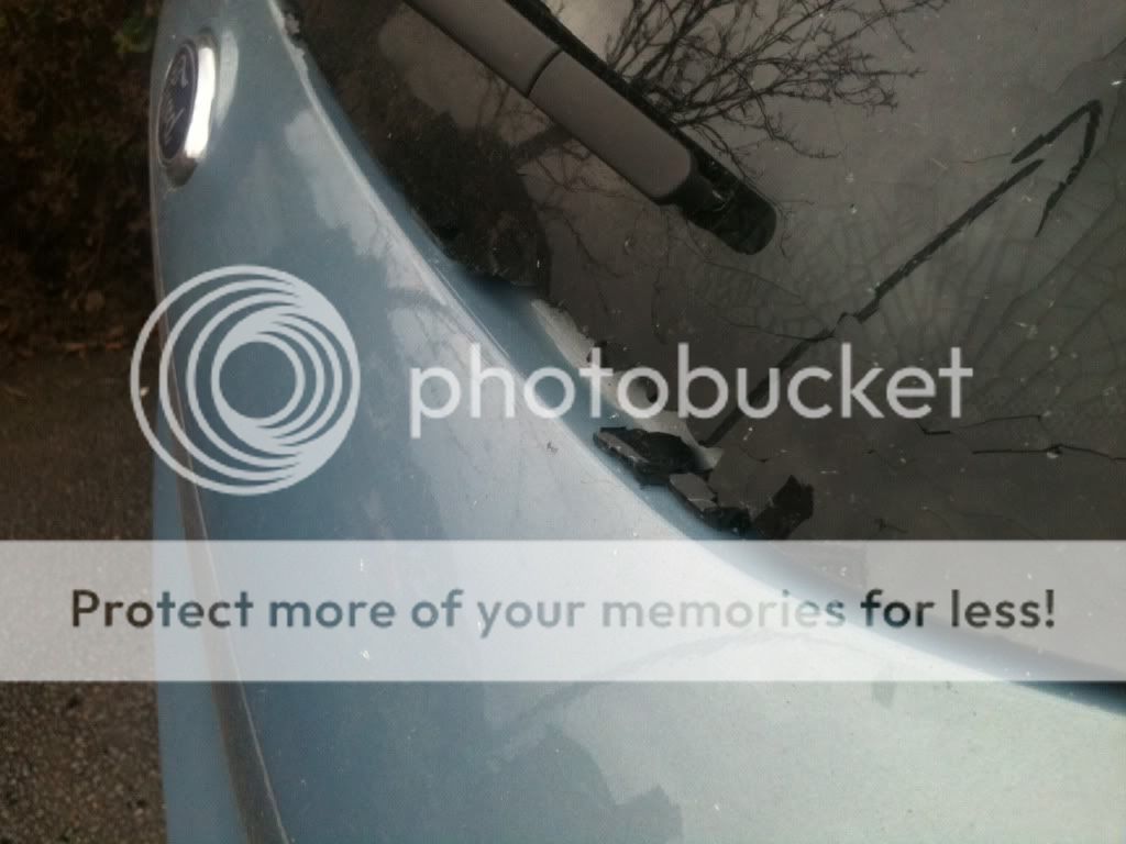 Posted Image