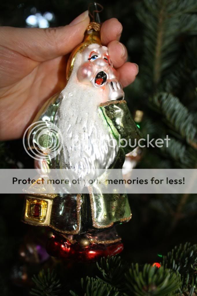 Dwarf 6 photo 010_zps38c8df84.jpg