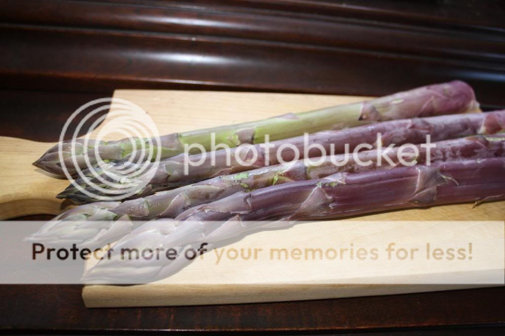 photo Asparaguspurple_zps6f8464c6.jpg