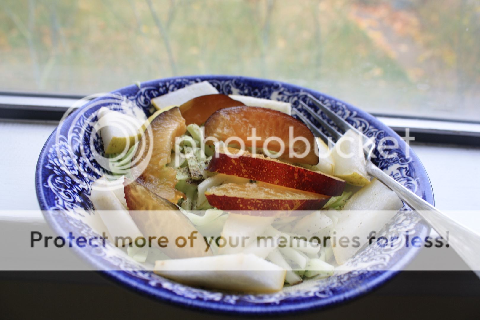 photo Cabbage salad w plum pear noney lemon juice_zpsnfd44hda.jpg