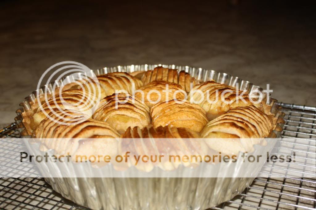 French apple pie photo Frenchapplepie_zps12085a97.jpg