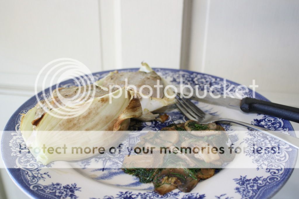 photo IMG_5269_zpscnszlf00.jpg