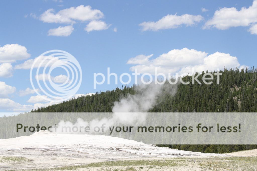 photo IMG_7161_zpssyxsdypl.jpg