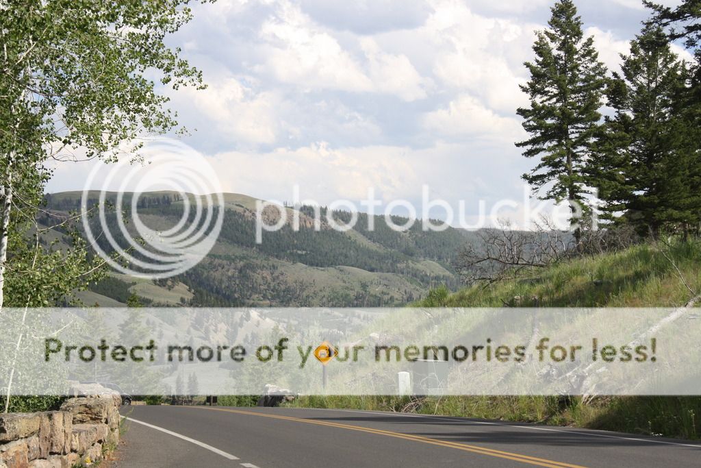 photo IMG_7520_zpszz7bslys.jpg