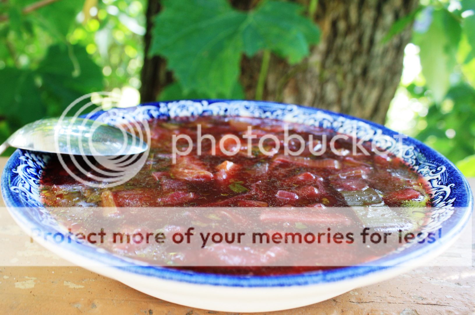 photo Borsch goose broth leek celeriac_zps4lsbt9ap.jpg