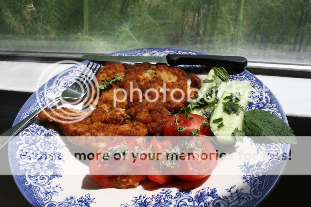 photo Chicken schnitzel_zps772guvjs.jpg