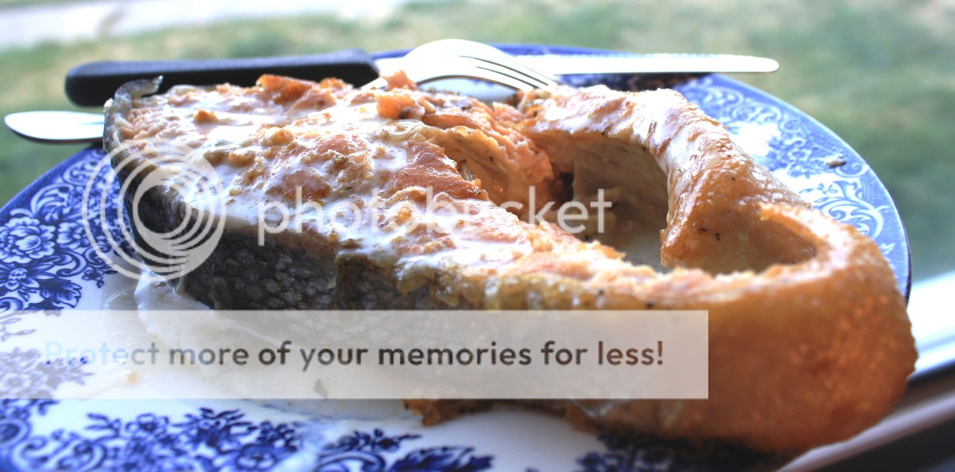 Keta steak w cream-honey-thyme sauce photo Honey Keta steak w sauce_zps2mrso43n.jpg