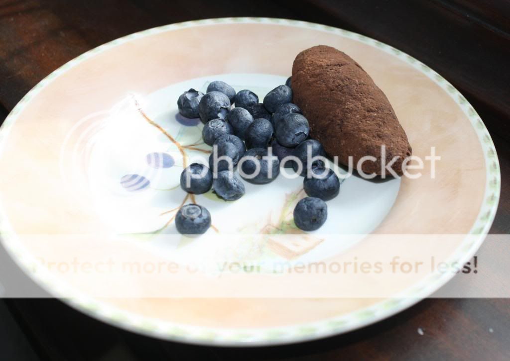 Kartoshka pirozhnoye with blueberries photo Kartoshkapirozhnoewithblueberries_zpse30e90a4.jpg