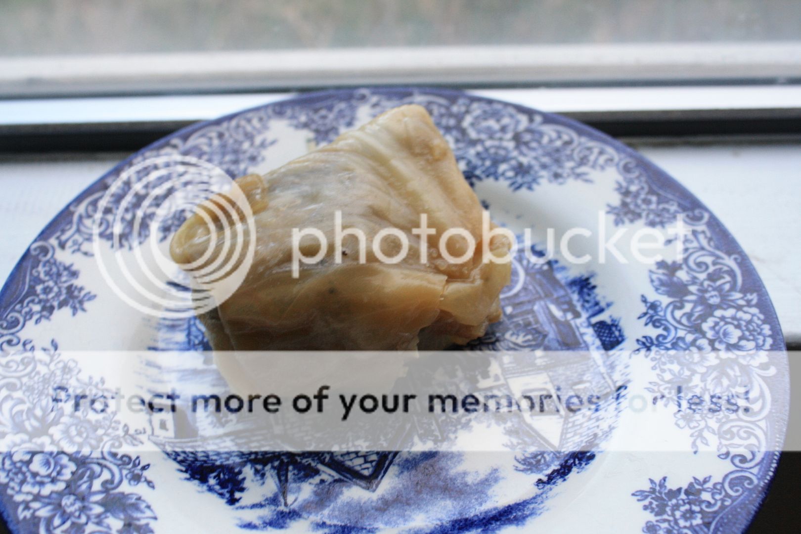 Golubtsy with beef for pleskavitsa photo Modern Russian literature golubtsy_zpsm274n7u7.jpg