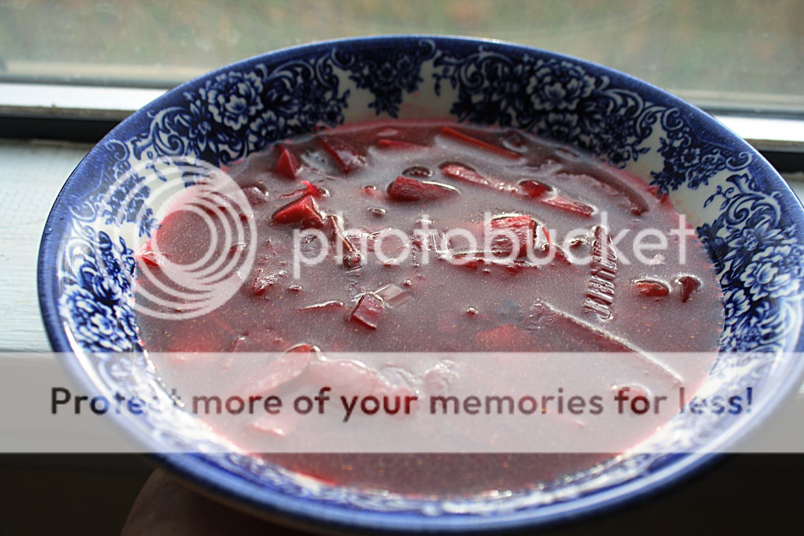 photo Modern20Russian20literature20Borsch20vegetarian_zpsfhdwlrrr.jpg