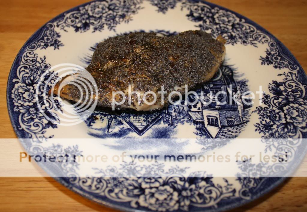 Poppy seed turkey filet photo Poppyturkeybreastfiletinpoppyseeds_zps0dcc6280.jpg